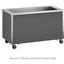 Vollrath 36265 Refrigerated Cold Food Table 4 Pan Size 60 Length x 27 High Child Height Enclosed Base Signature Server
